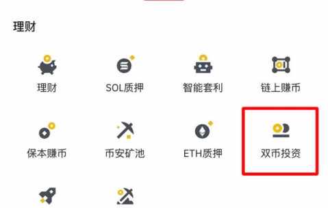 开云APP-包含币安币创下今年新高，上涨幅高达312%，还是否还能入手？的词条