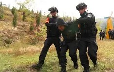 开云-荆楚黑豹队对阵关东鲸鲨队，板球附加赛惊险晋级，内线统治篮板——团队防守值得称道的简单介绍