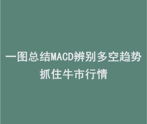 开云-TON冲破5.16美元价位，牛市行情会不会真的到来？