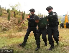荆楚黑豹队对阵关东鲸鲨队，板球附加赛惊险晋级，内线统治篮板——团队防守值得称道的简单介绍